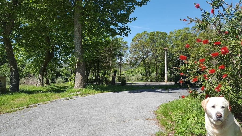 Hotel La Pineta Cogoleto Eksteriør bilde
